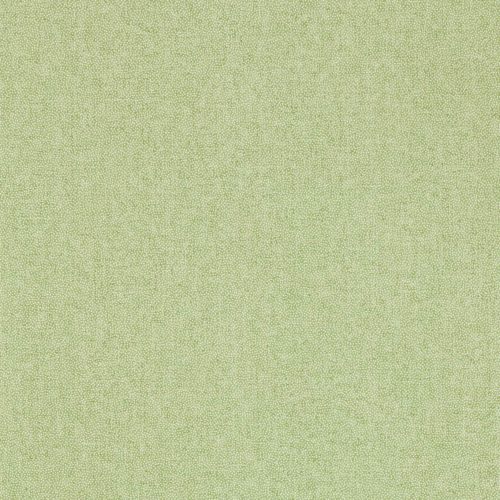 Sessile Plain 217248